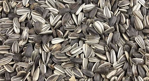 انواع تخمه آفتابگردان اعلا + ممتاز و مقرون به صرفه